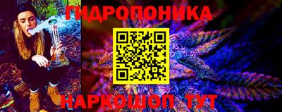 MDMA Гатчина