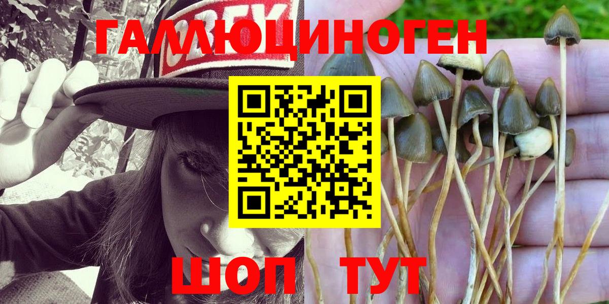 Галлюциногенные грибы MAGIC MUSHROOMS  Псилоцибиновые грибы Psilocybe  Междуреченск  наркотики  Вход с VPN 